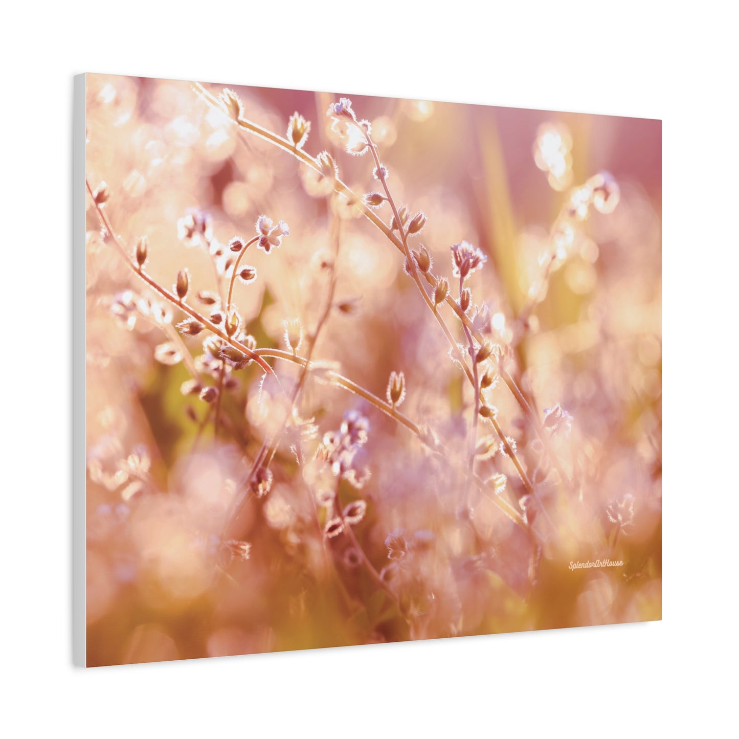 Floral, Matte Canvas, Stretched, 1.25"