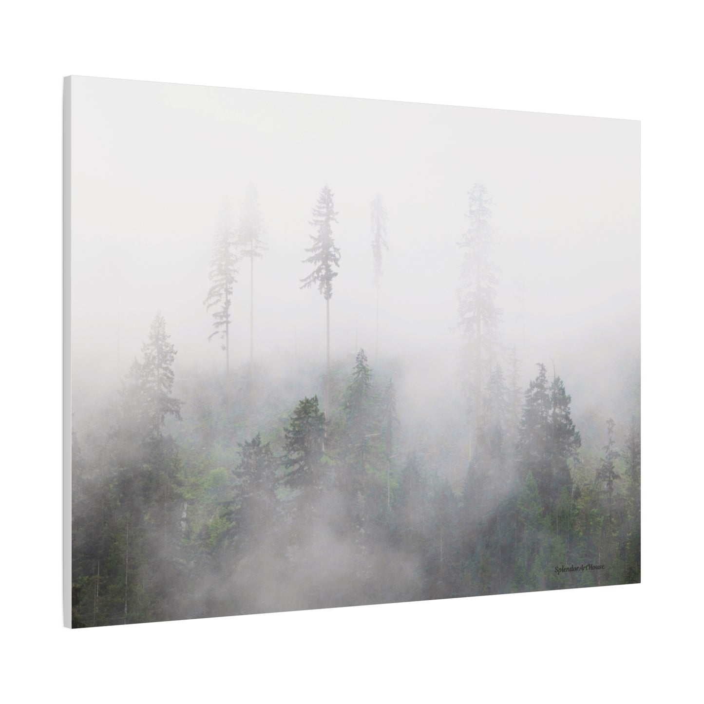 Forest, Matte Canvas, Stretched, 1.25"
