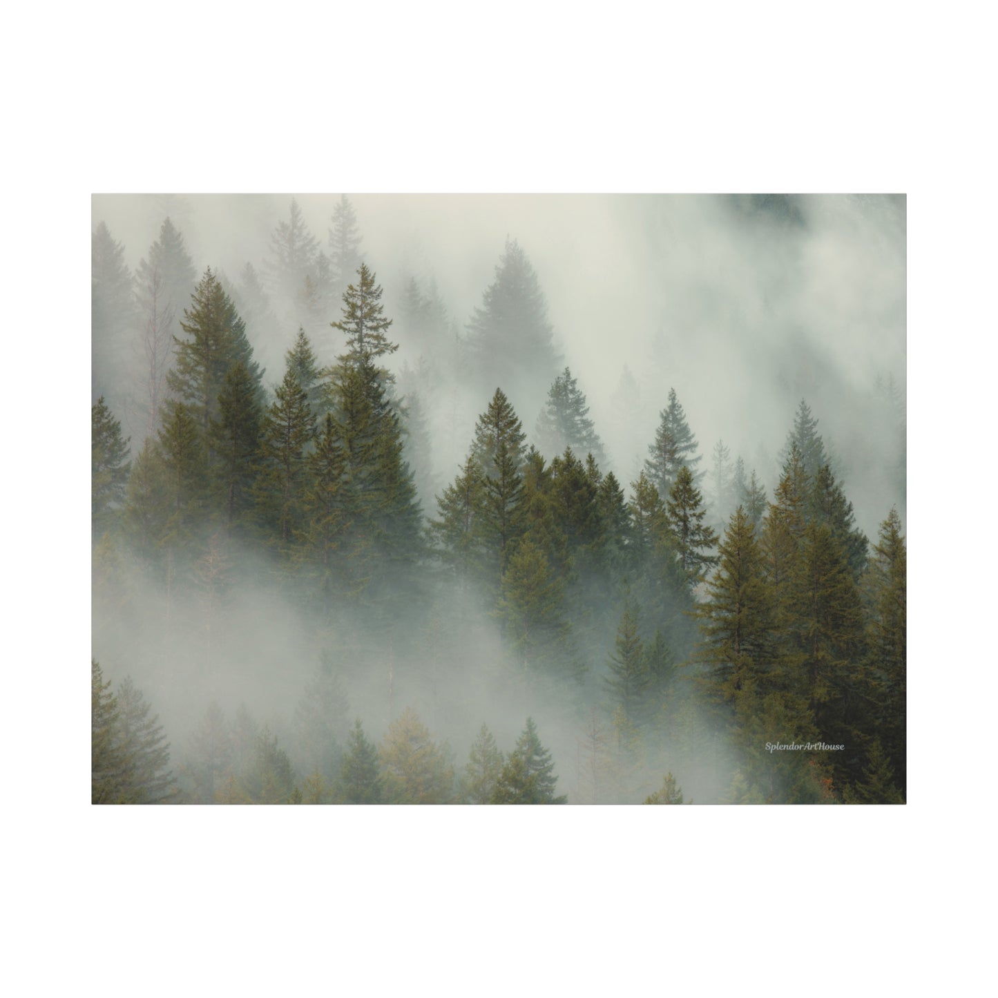 Forest, Matte Canvas, Stretched, 1.25"