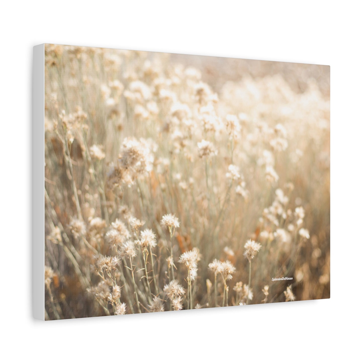 Floral, Matte Canvas, Stretched, 1.25"
