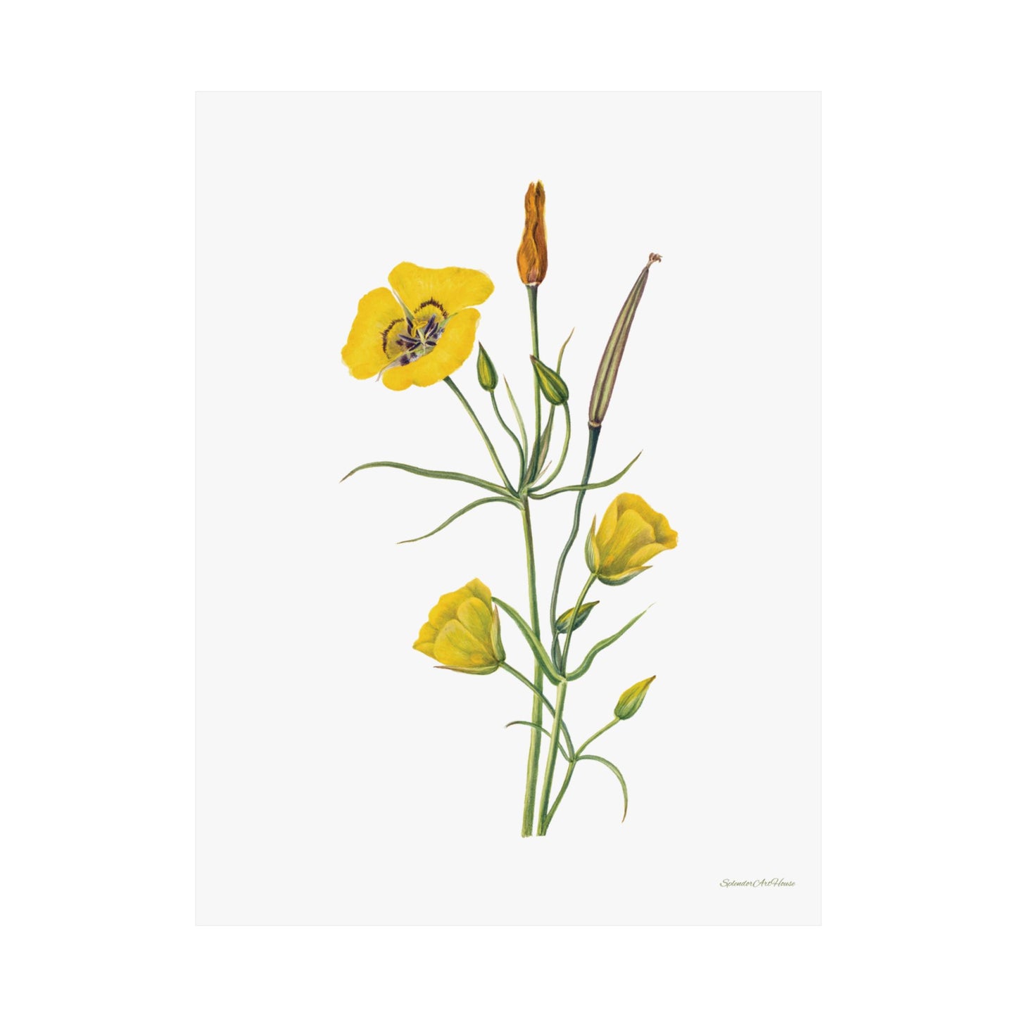 Floral, Matte Vertical Poster