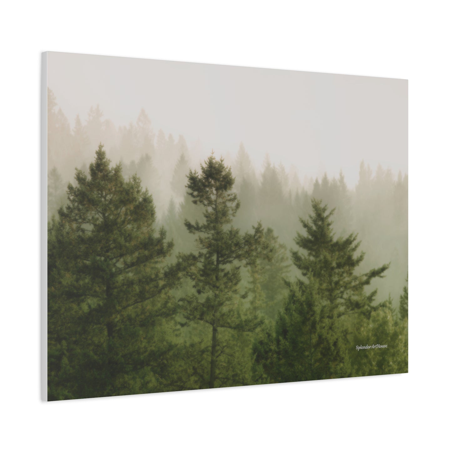 Forest, Matte Canvas, Stretched, 1.25"