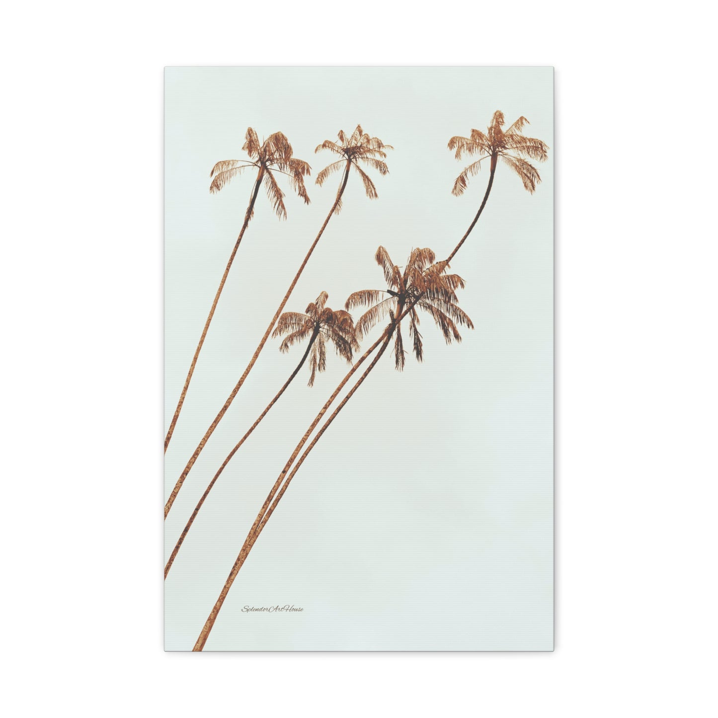 Palm Tree, Matte Canvas, Stretched, 1.25"