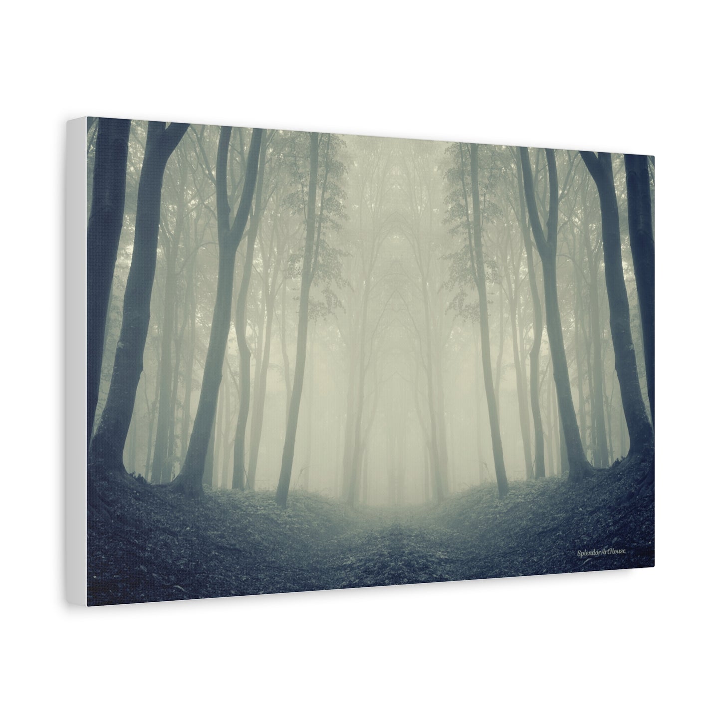 Forest, Matte Canvas, Stretched, 1.25"