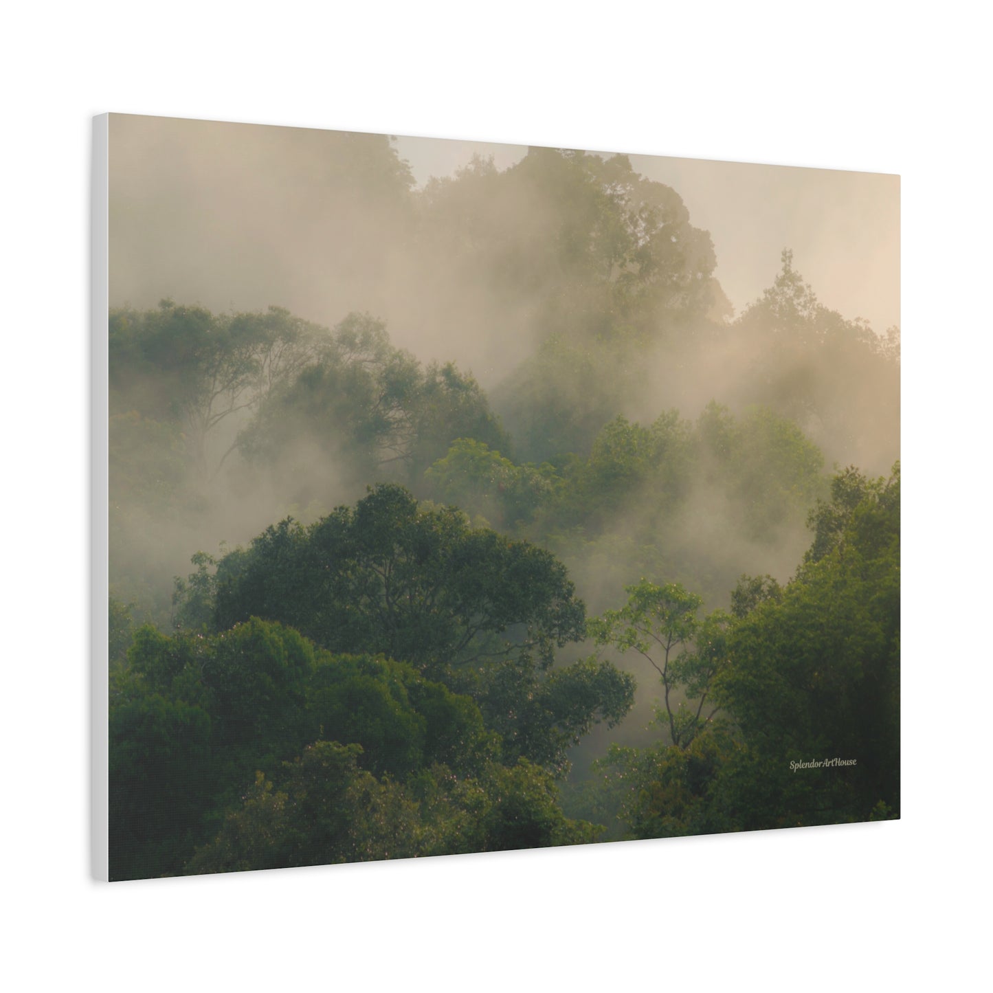 Forest, Matte Canvas, Stretched, 1.25"