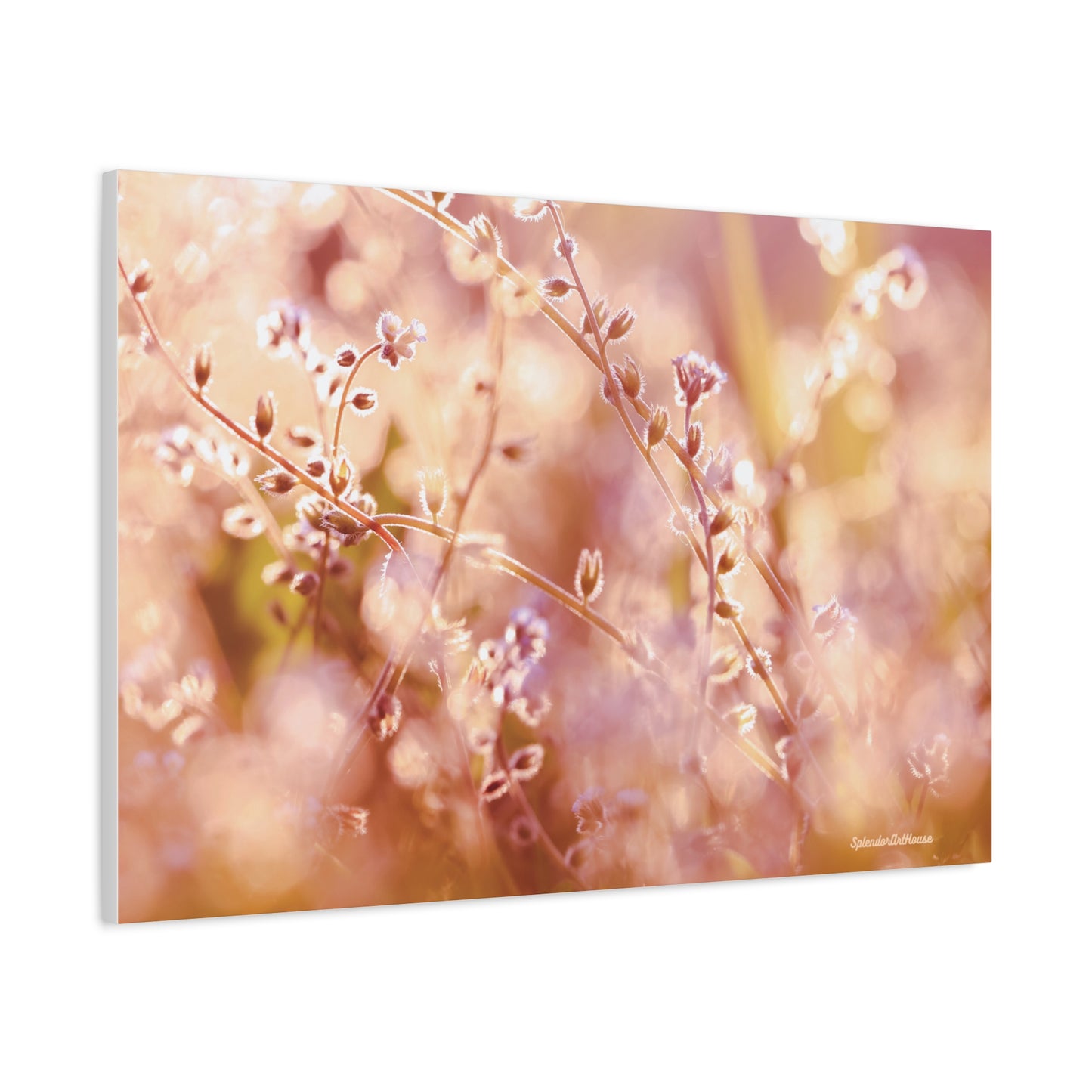 Floral, Matte Canvas, Stretched, 1.25"