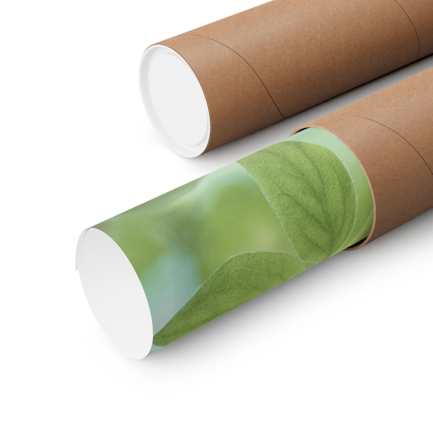 Inspirational, Matte Horizontal Poster