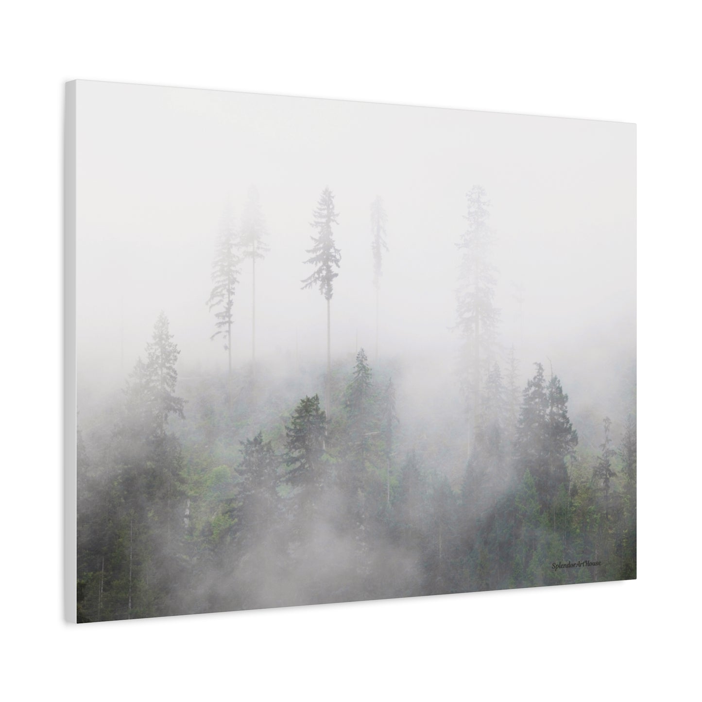 Forest, Matte Canvas, Stretched, 1.25"