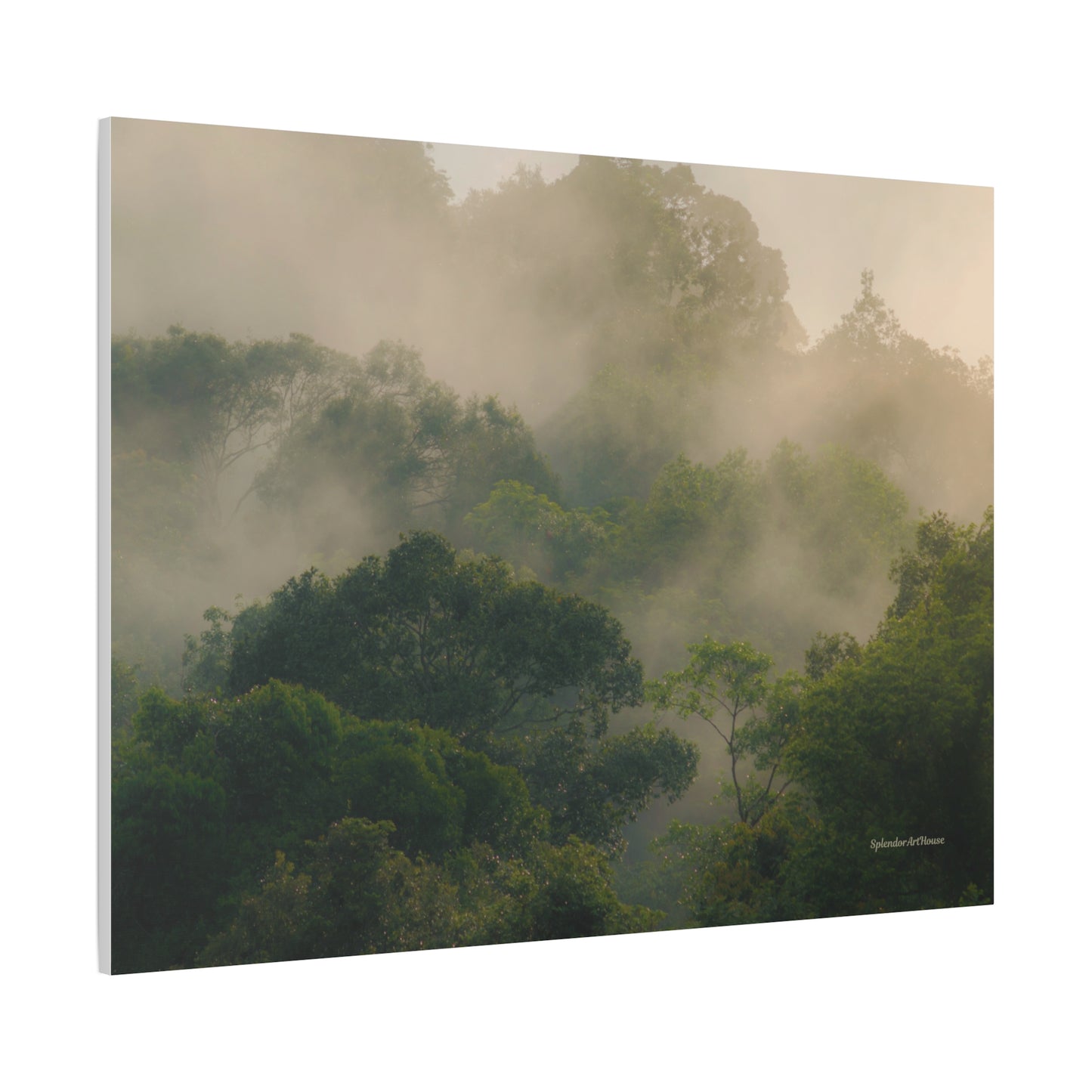 Forest, Matte Canvas, Stretched, 1.25"