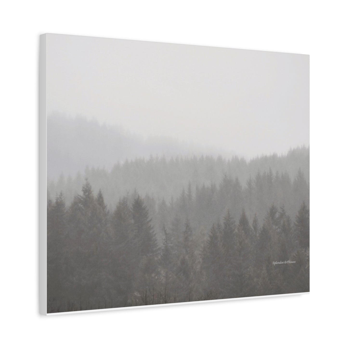 Forest, Matte Canvas, Stretched, 1.25"