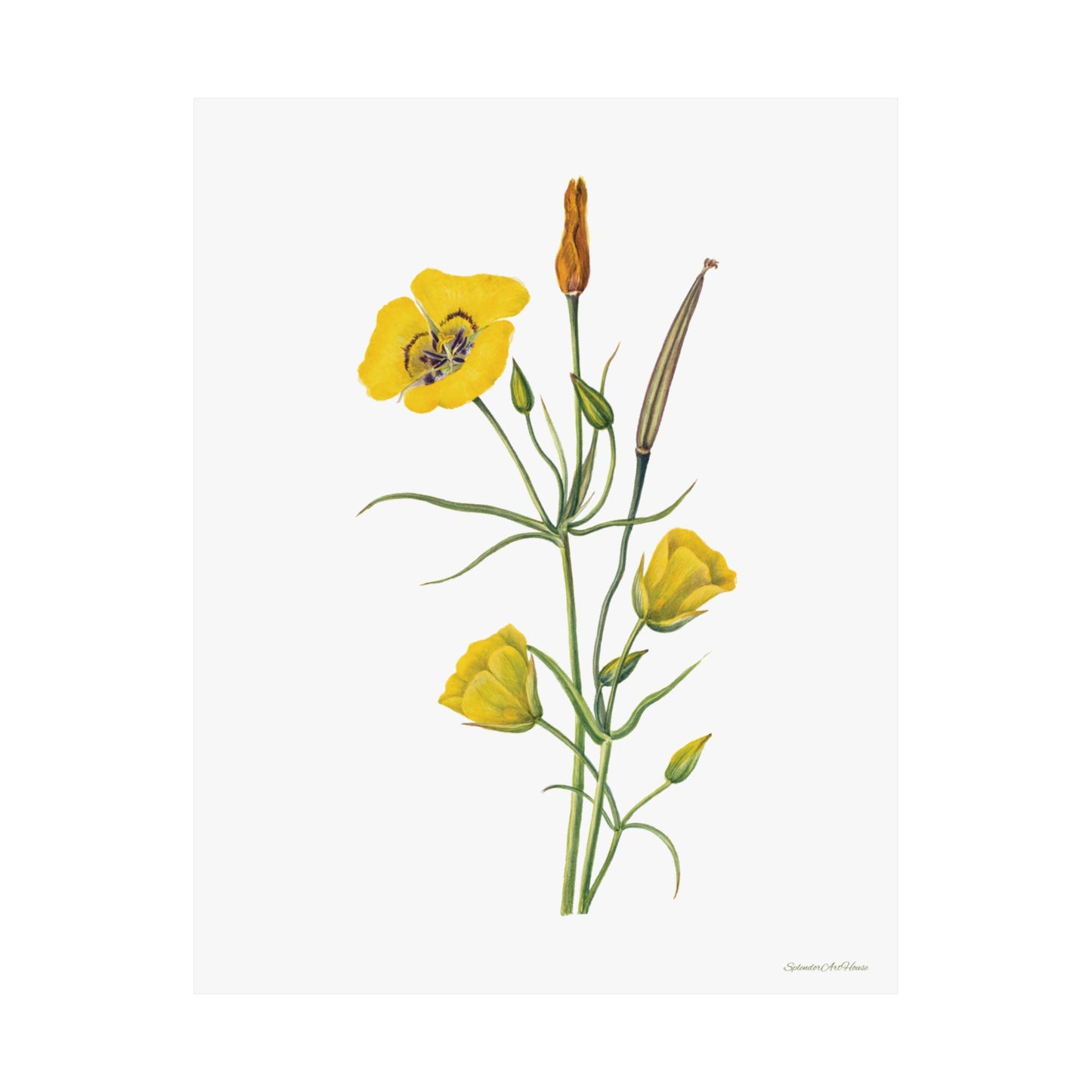 Floral, Matte Vertical Poster
