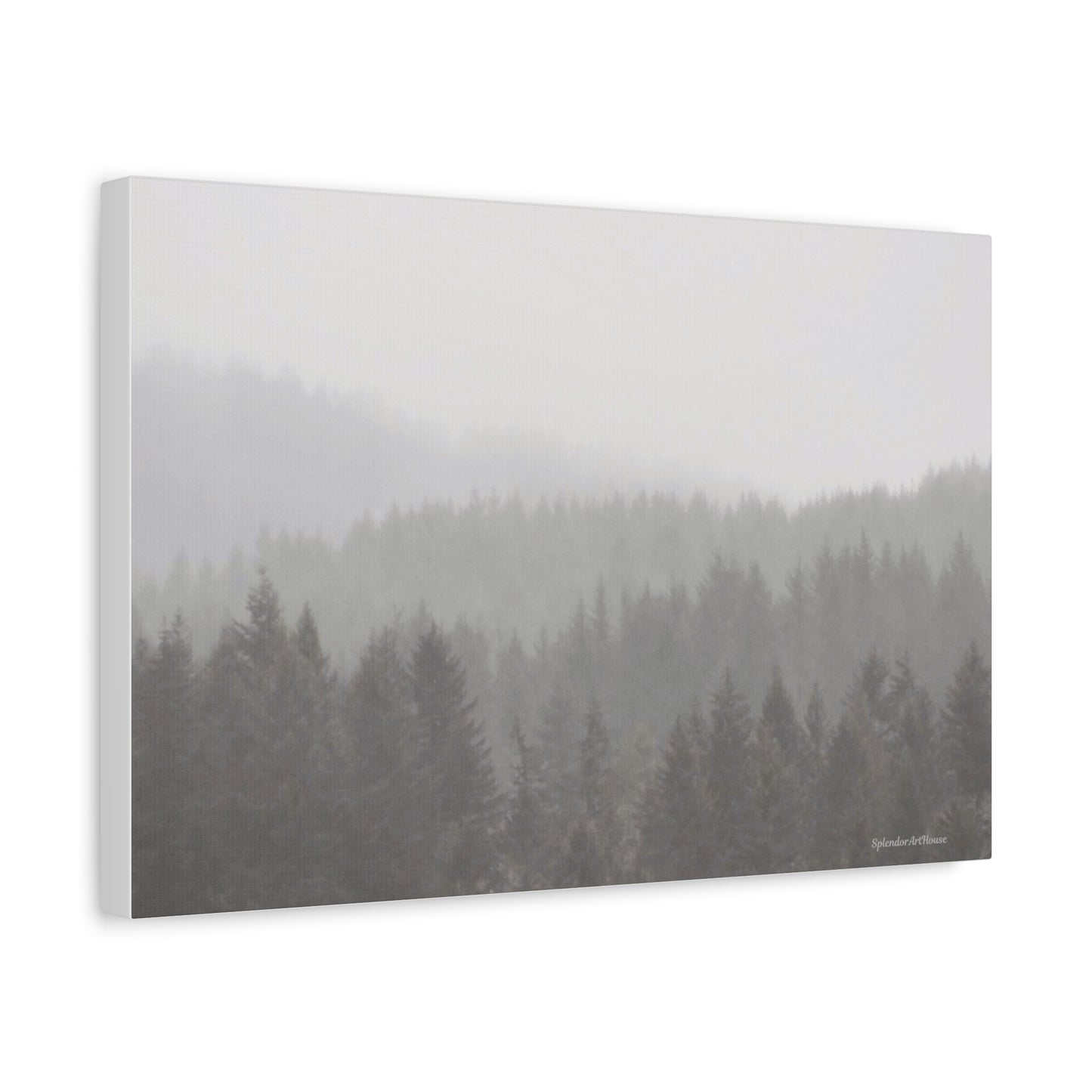 Forest, Matte Canvas, Stretched, 1.25"