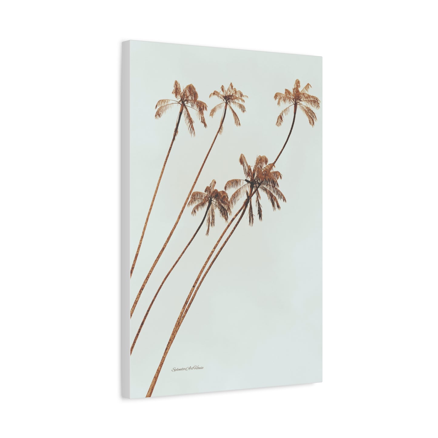 Palm Tree, Matte Canvas, Stretched, 1.25"