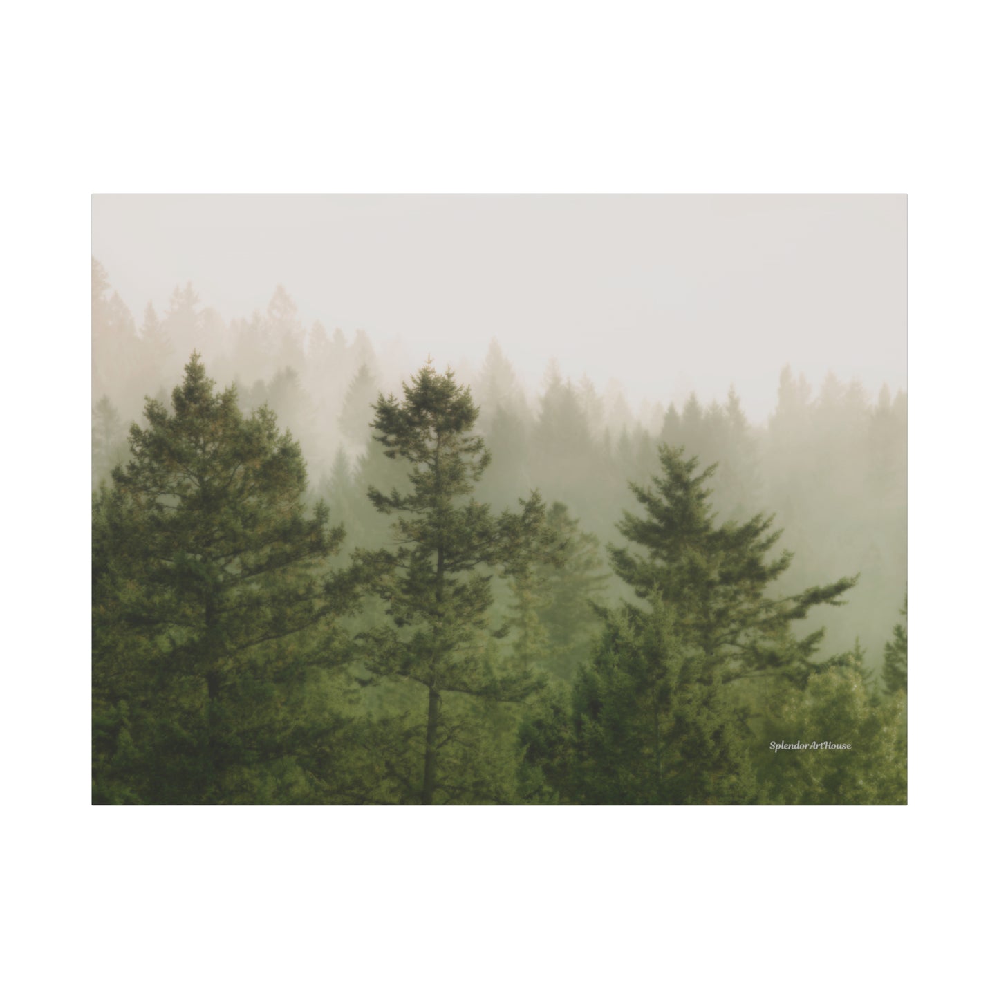 Forest, Matte Canvas, Stretched, 1.25"