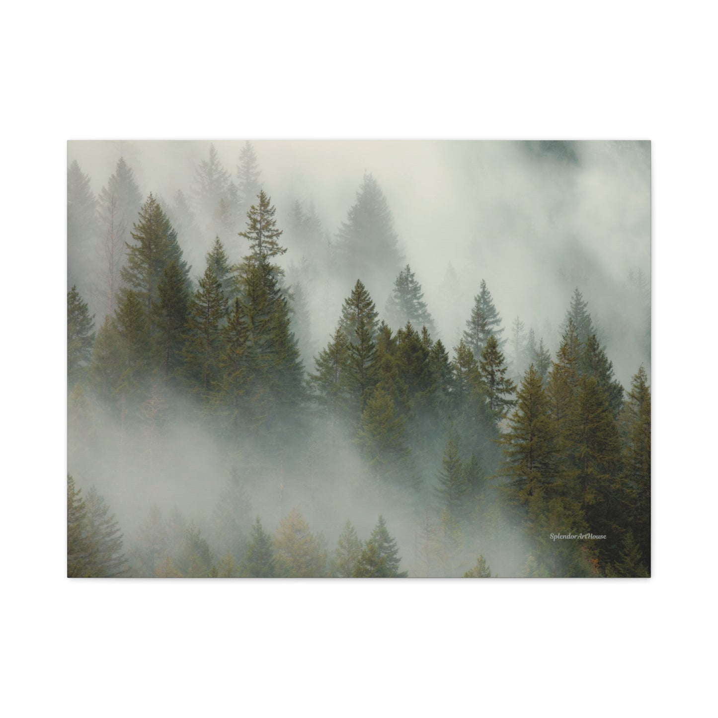 Forest, Matte Canvas, Stretched, 1.25"