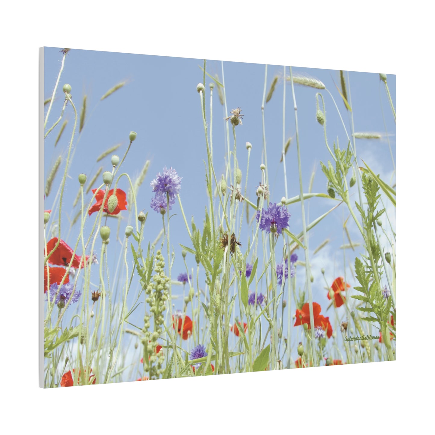 Floral, Matte Canvas, Stretched, 1.25"