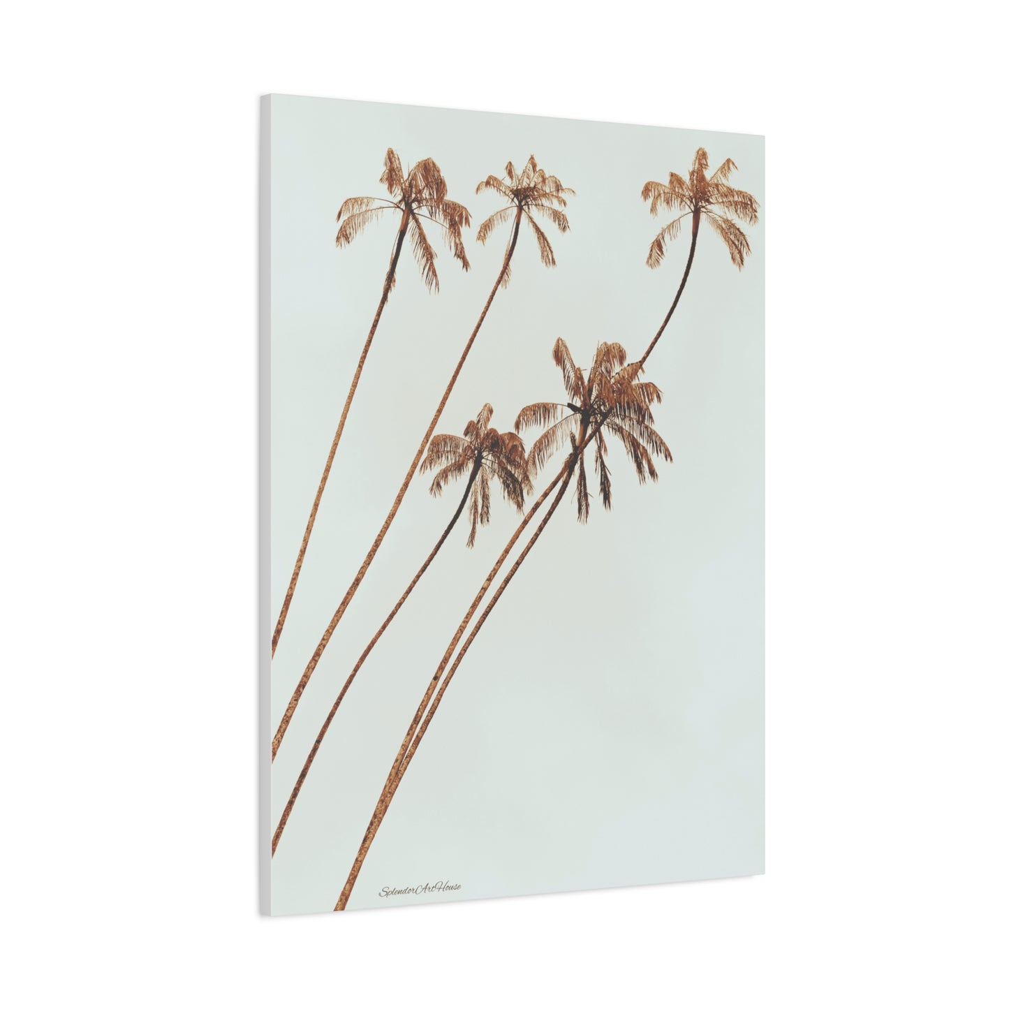 Palm Tree, Matte Canvas, Stretched, 1.25"