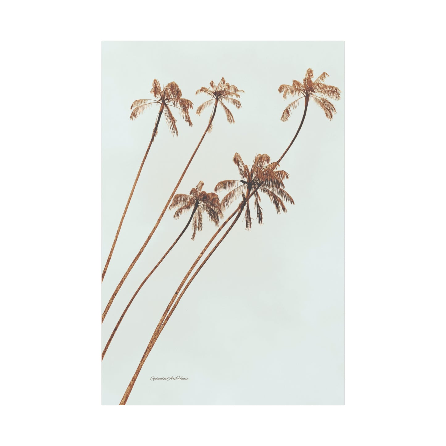 Palm Tree, Matte Canvas, Stretched, 1.25"