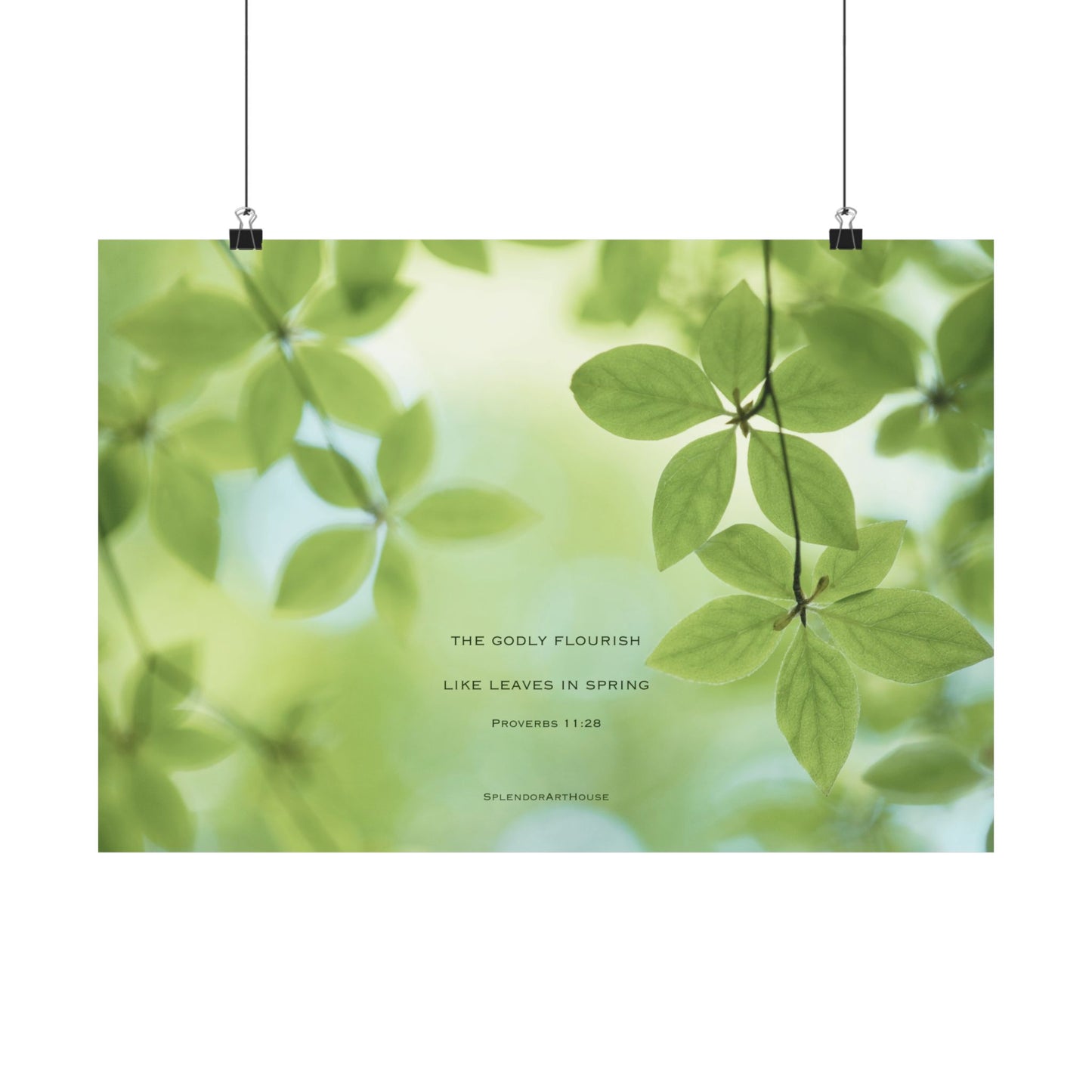 Inspirational, Matte Horizontal Poster