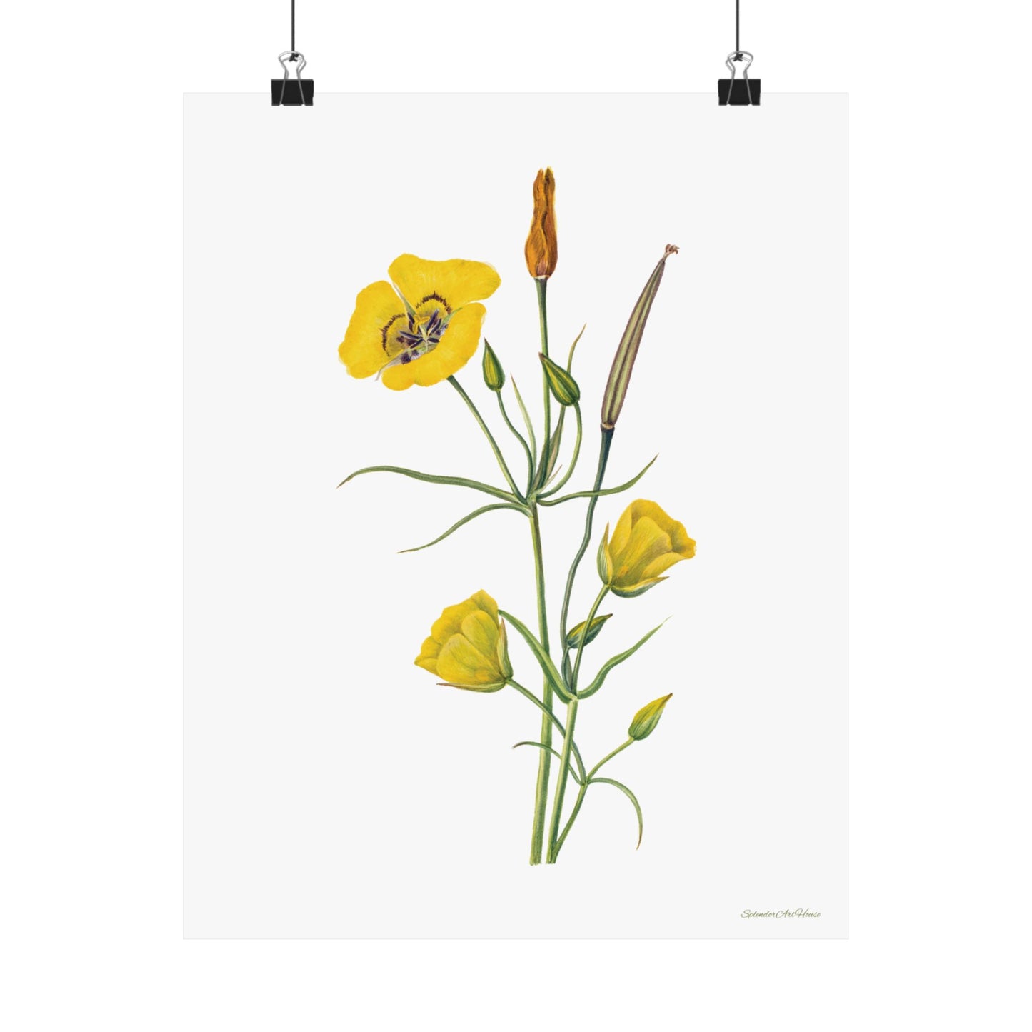 Floral, Matte Vertical Poster