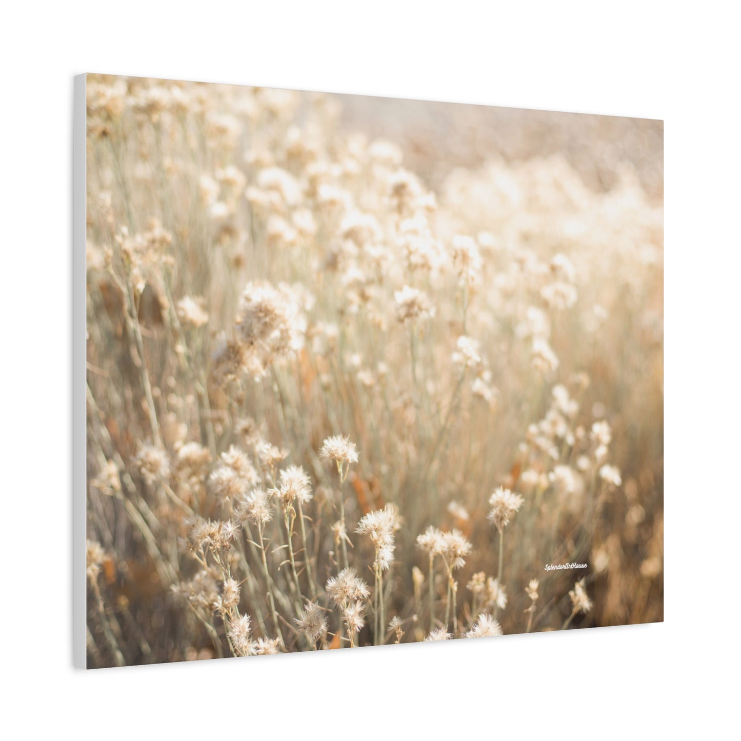 Floral, Matte Canvas, Stretched, 1.25"