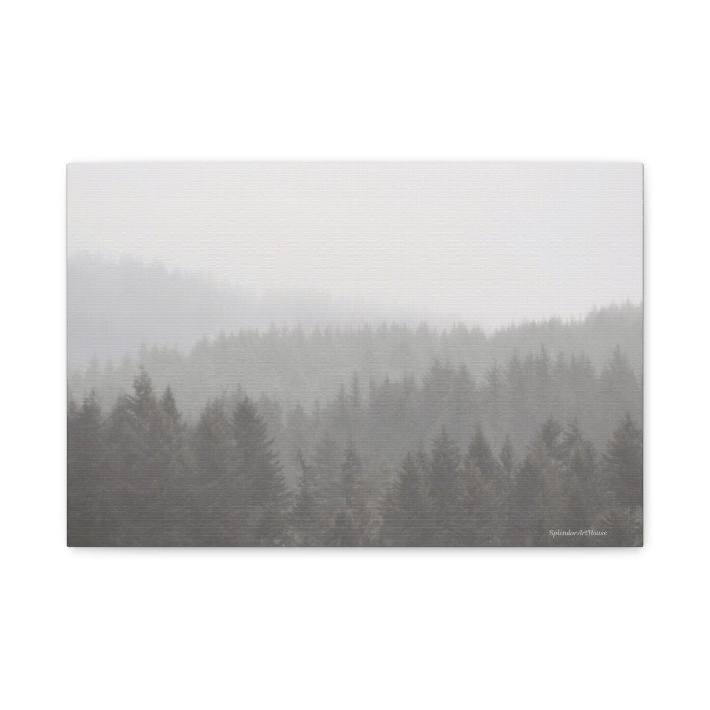 Forest, Matte Canvas, Stretched, 1.25"