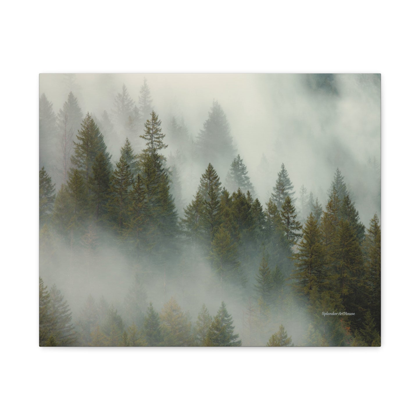 Forest, Matte Canvas, Stretched, 1.25"