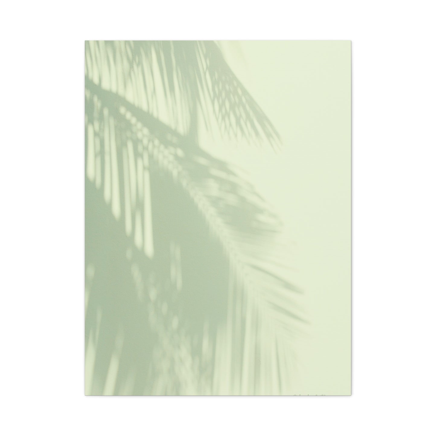 Palm Tree, Matte Canvas, Stretched, 1.25"