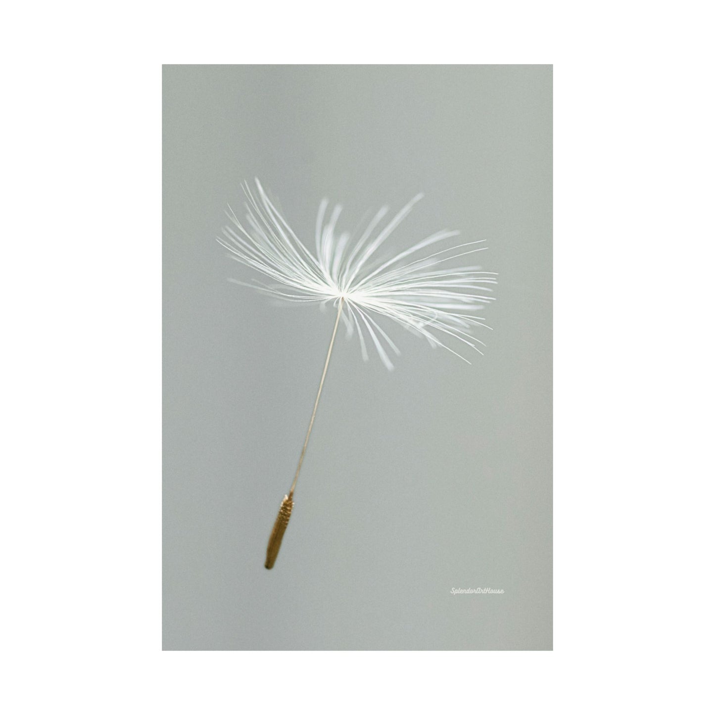 Floral, Matte Vertical Poster