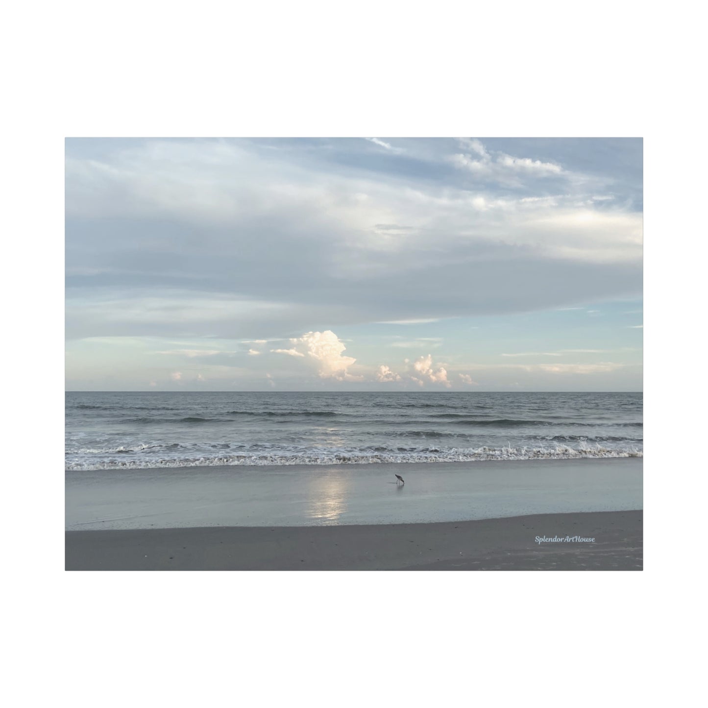 Ocean, Matte Canvas, Stretched, 1.25"