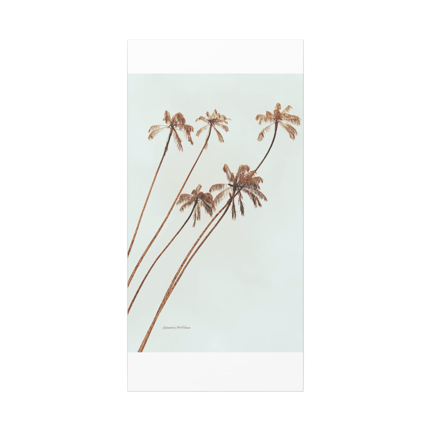 Palm Tree, Matte Canvas, Stretched, 1.25"
