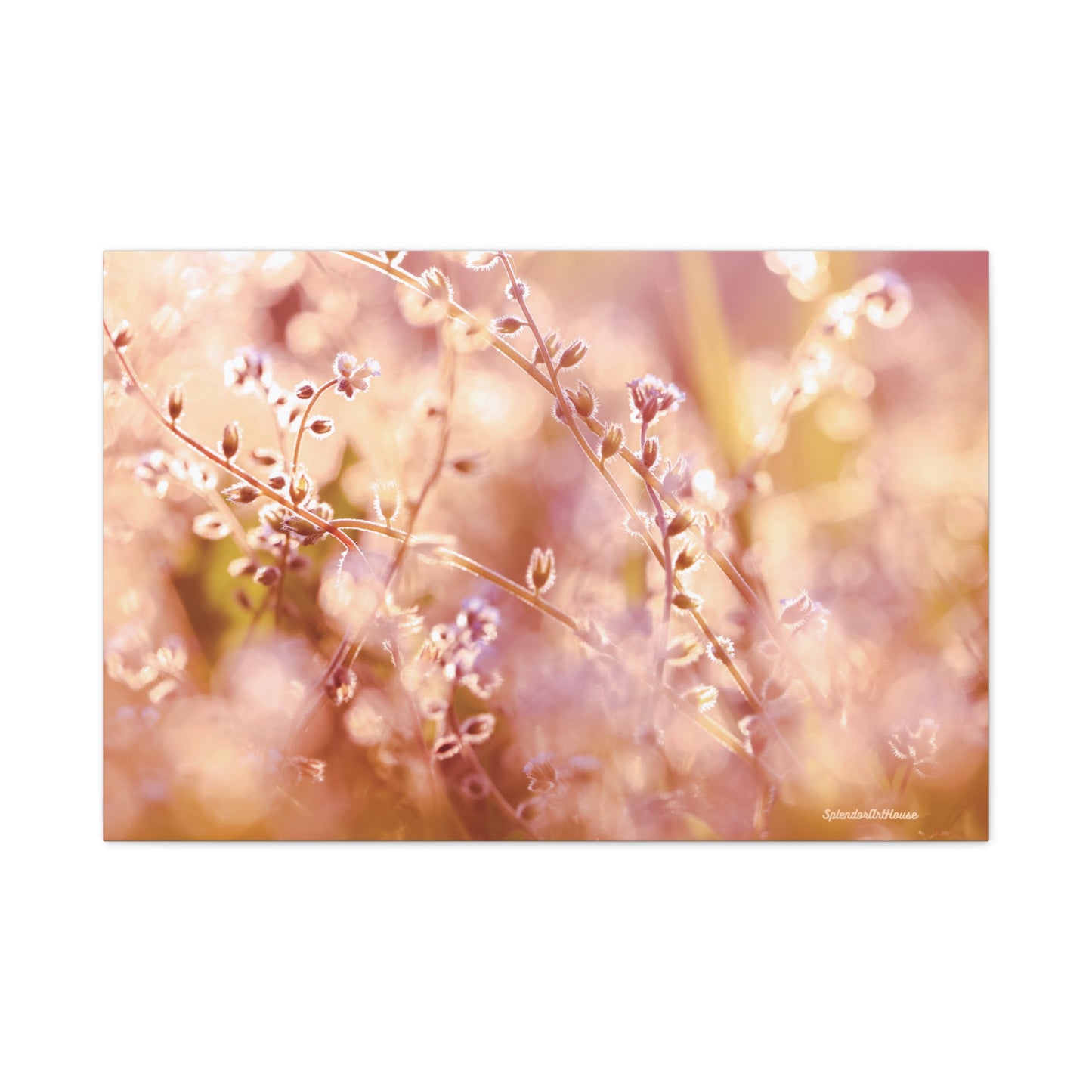 Floral, Matte Canvas, Stretched, 1.25"