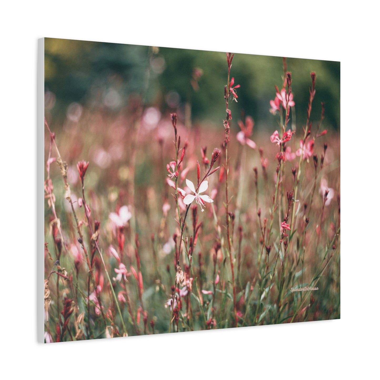 Floral, Matte Canvas, Stretched, 1.25"