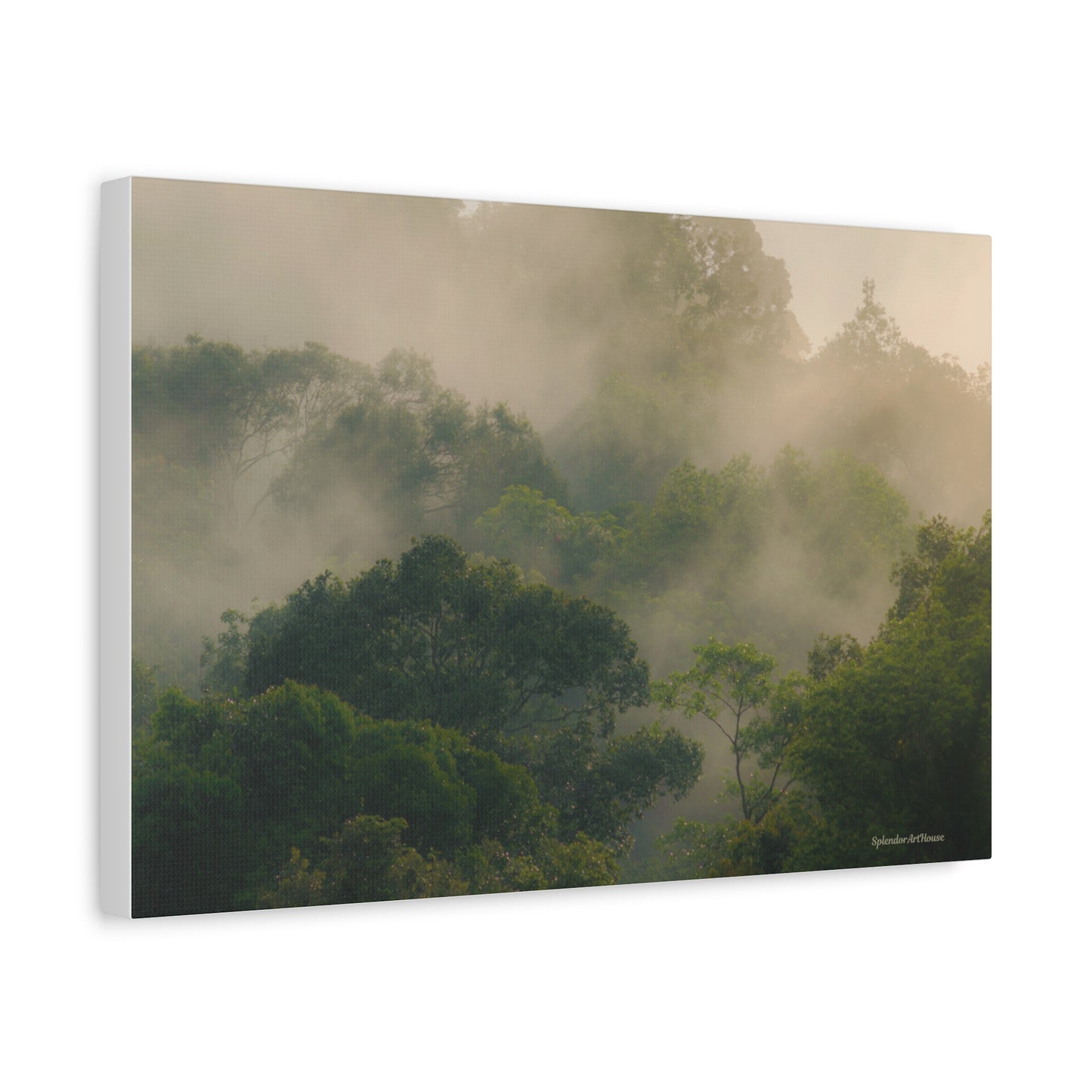 Forest, Matte Canvas, Stretched, 1.25"