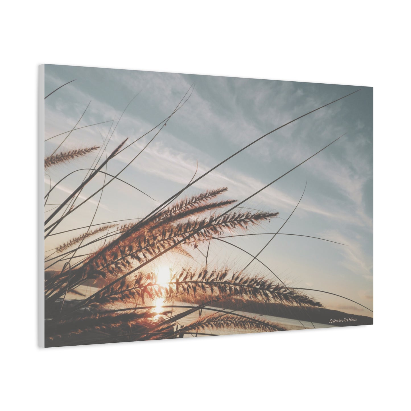 Grass, Matte Canvas, Stretched, 1.25"