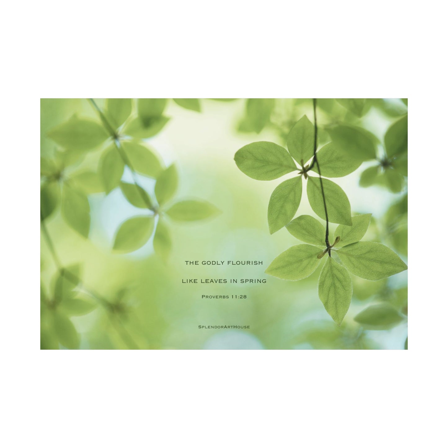 Inspirational, Matte Horizontal Poster