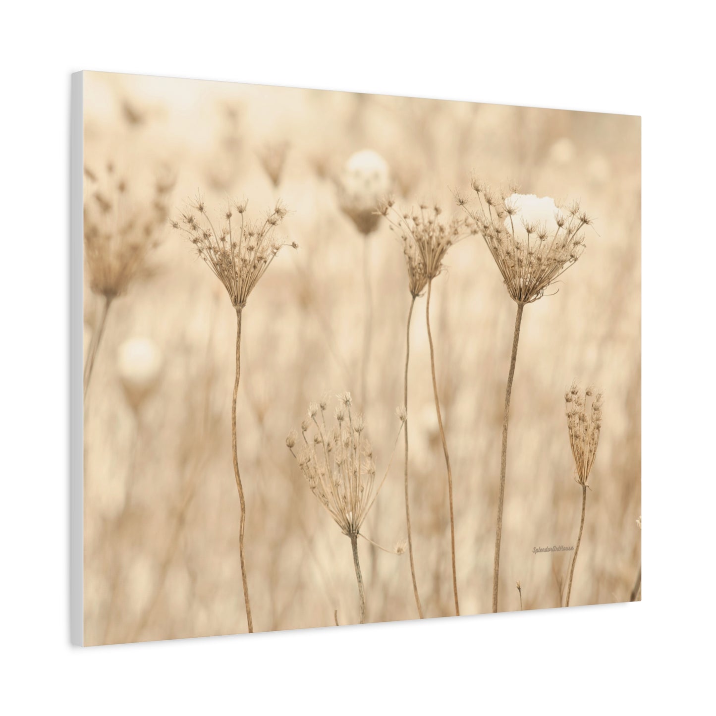 Floral, Matte Canvas, Stretched, 1.25"
