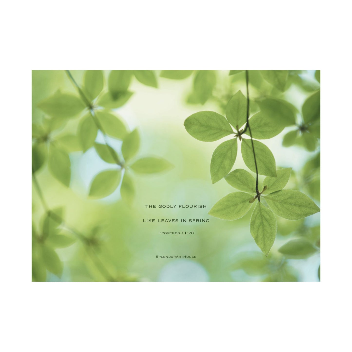 Inspirational, Matte Horizontal Poster