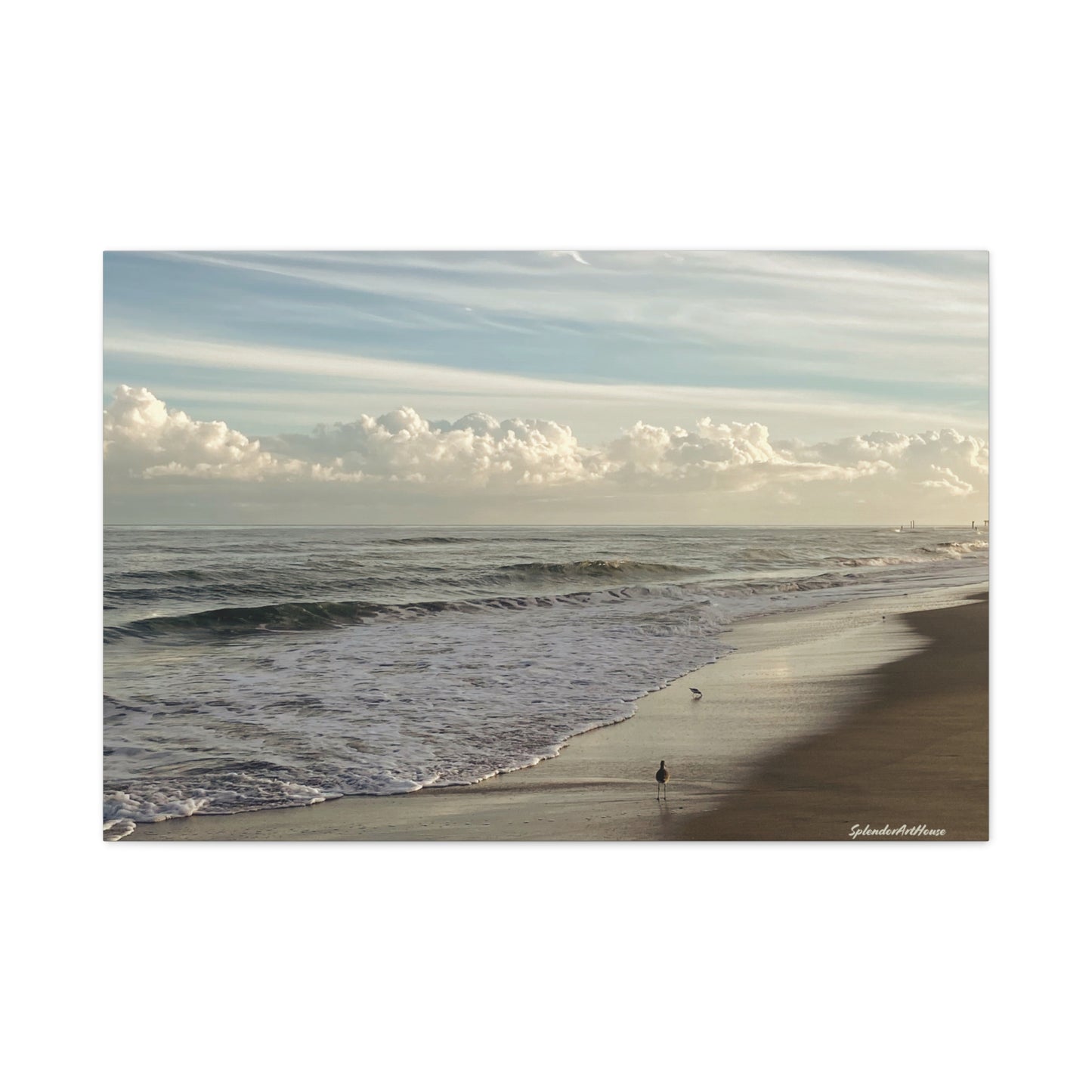Ocean, Matte Canvas, Stretched, 1.25"