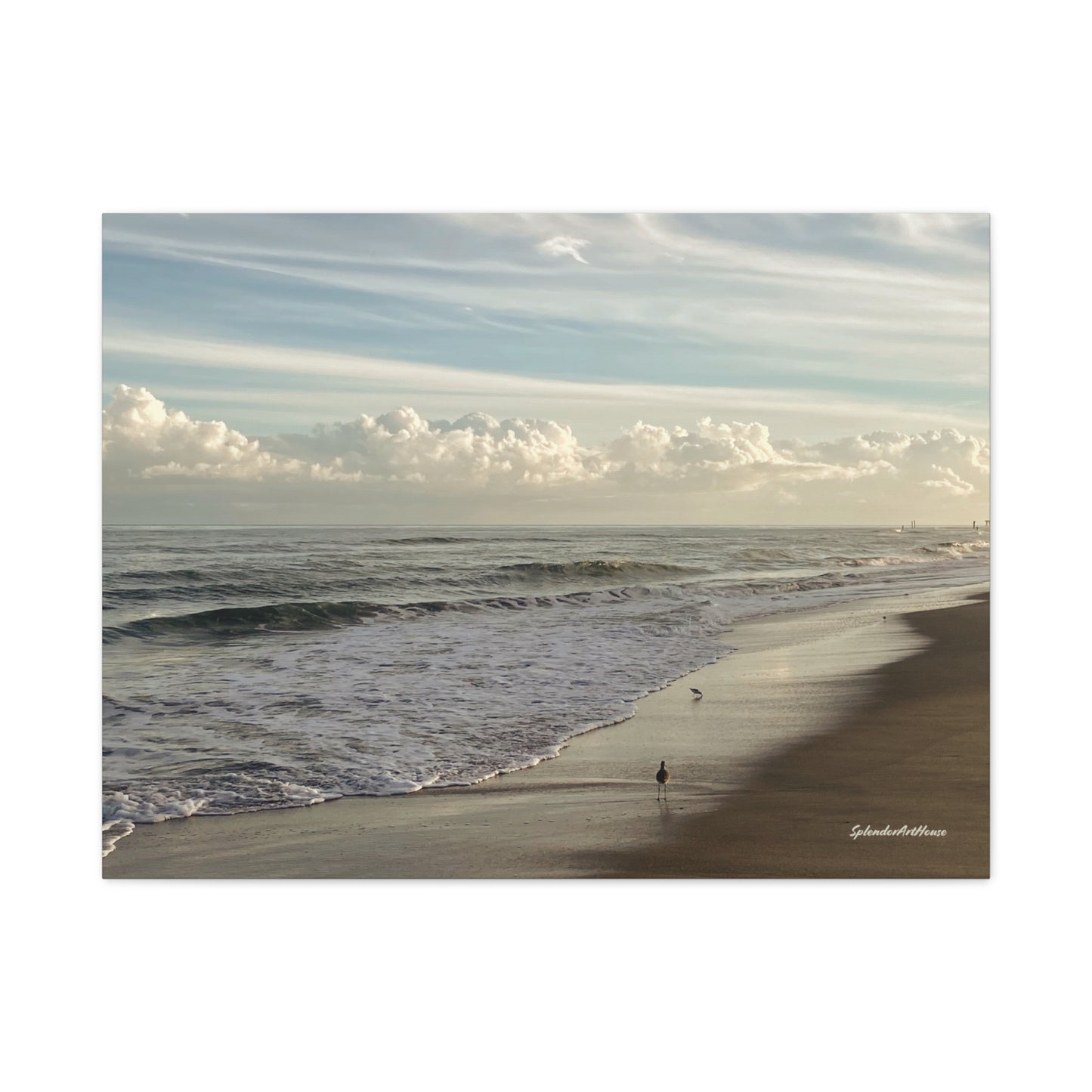 Ocean, Matte Canvas, Stretched, 1.25"