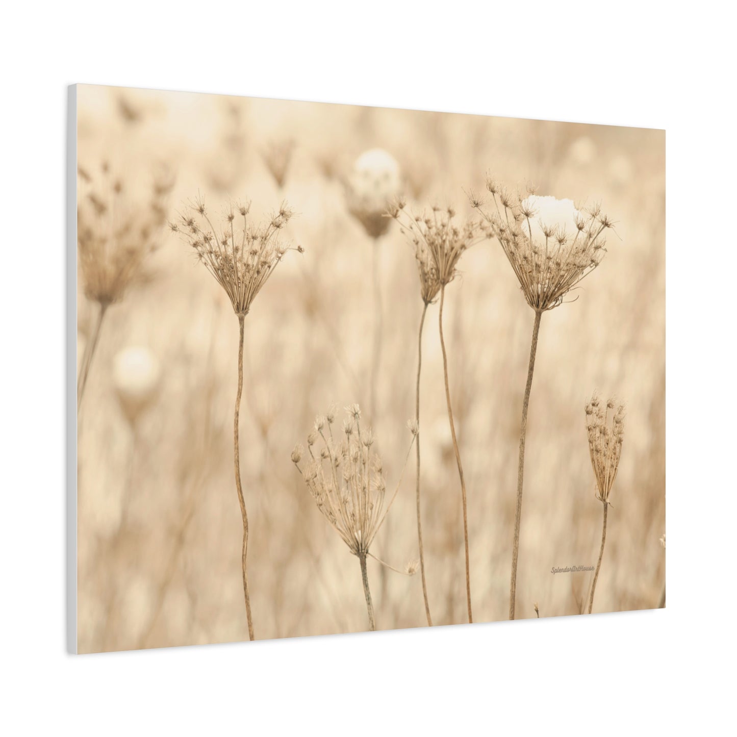 Floral, Matte Canvas, Stretched, 1.25"