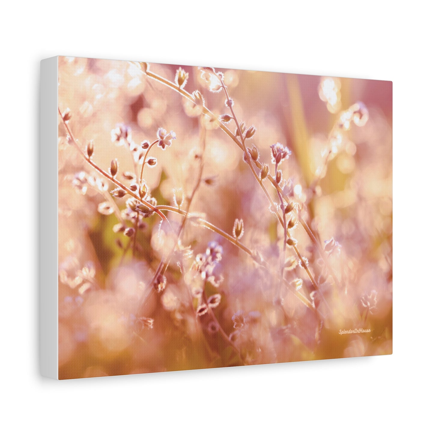 Floral, Matte Canvas, Stretched, 1.25"