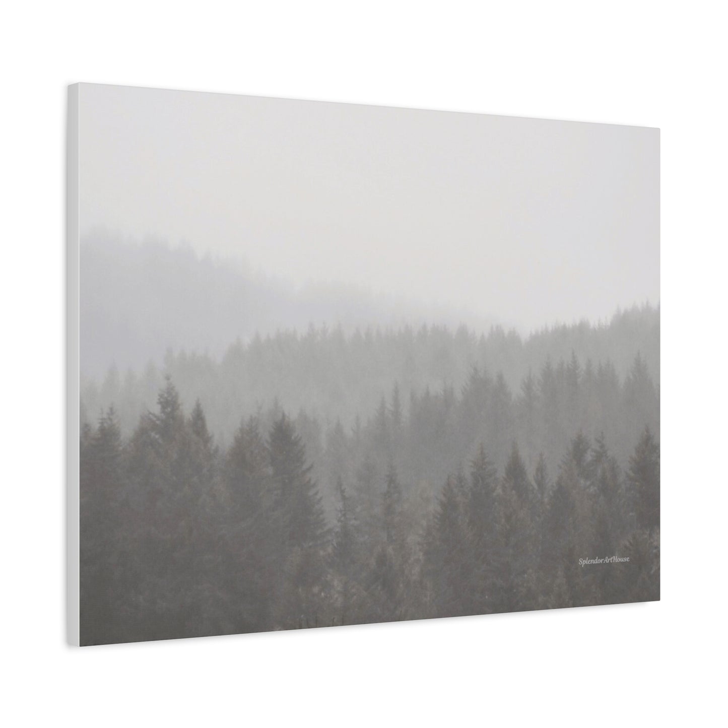 Forest, Matte Canvas, Stretched, 1.25"