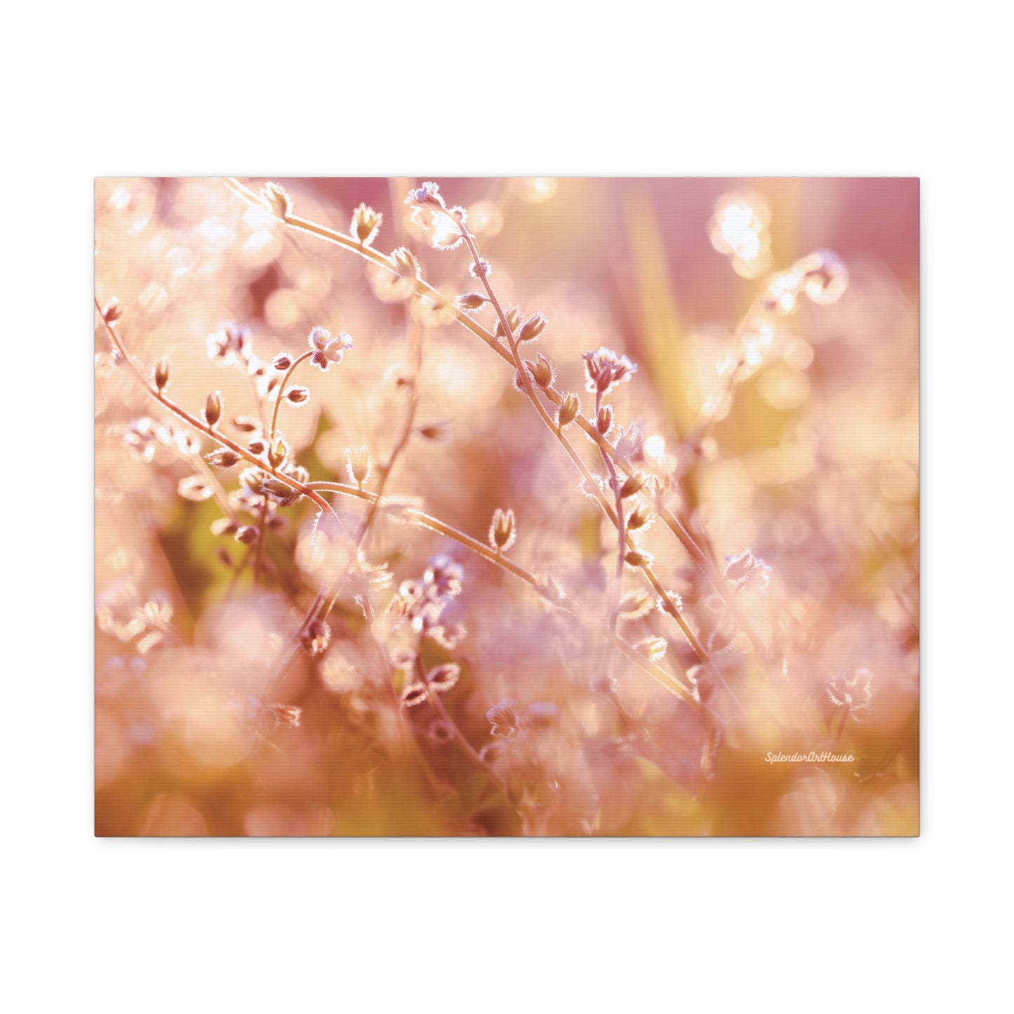 Floral, Matte Canvas, Stretched, 1.25"