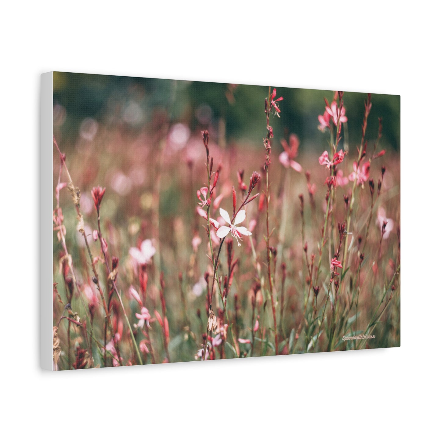 Floral, Matte Canvas, Stretched, 1.25"