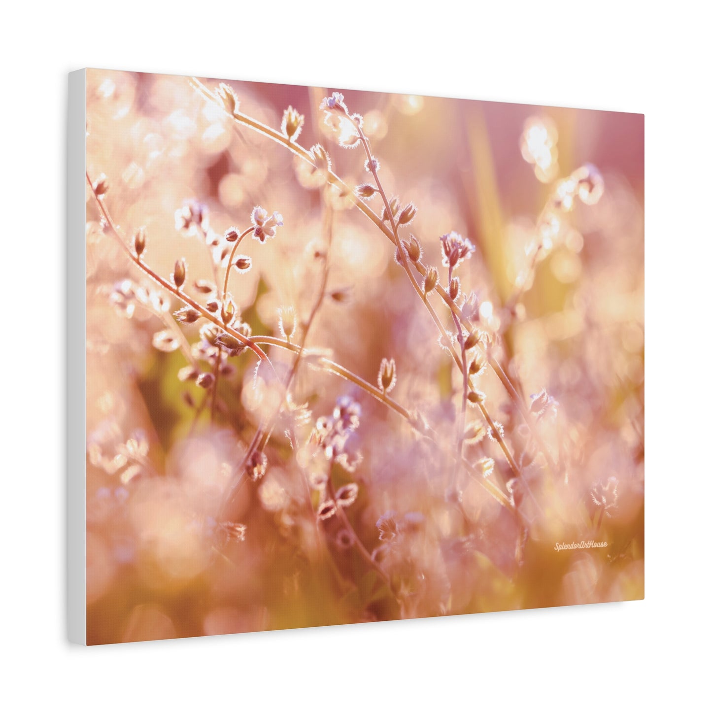 Floral, Matte Canvas, Stretched, 1.25"