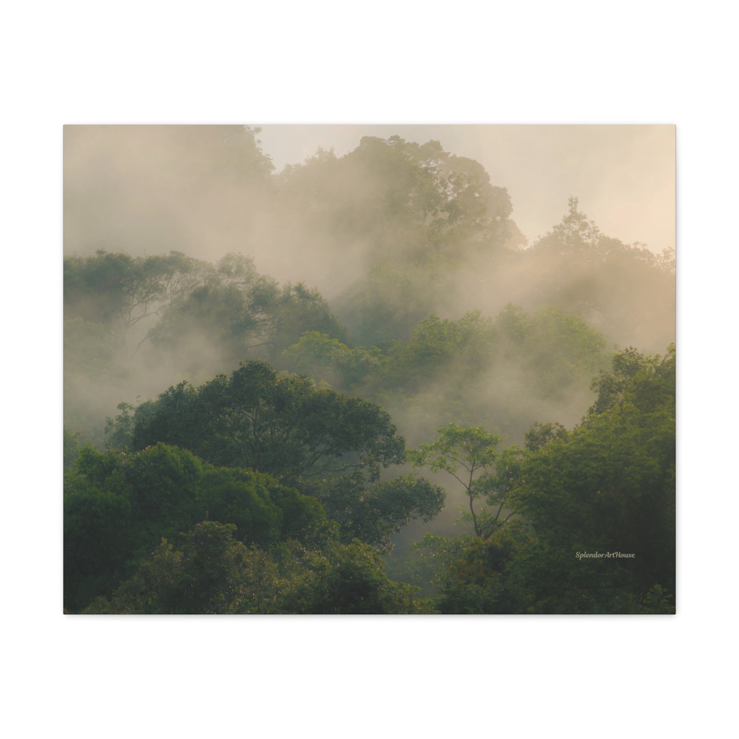 Forest, Matte Canvas, Stretched, 1.25"