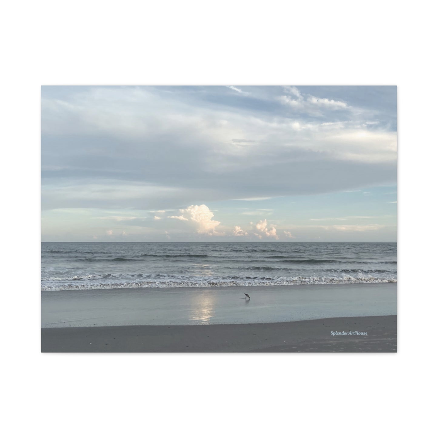 Ocean, Matte Canvas, Stretched, 1.25"