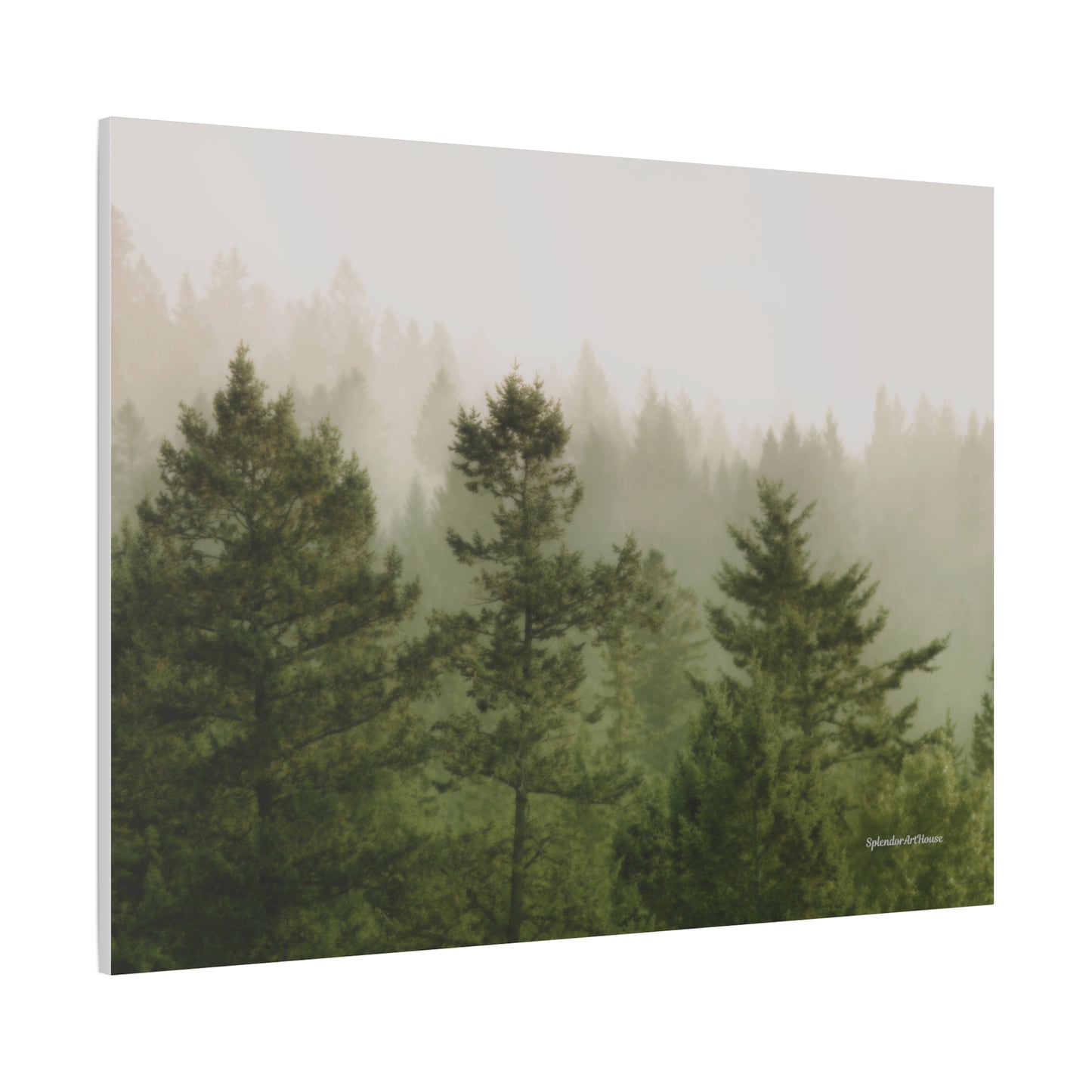 Forest, Matte Canvas, Stretched, 1.25"
