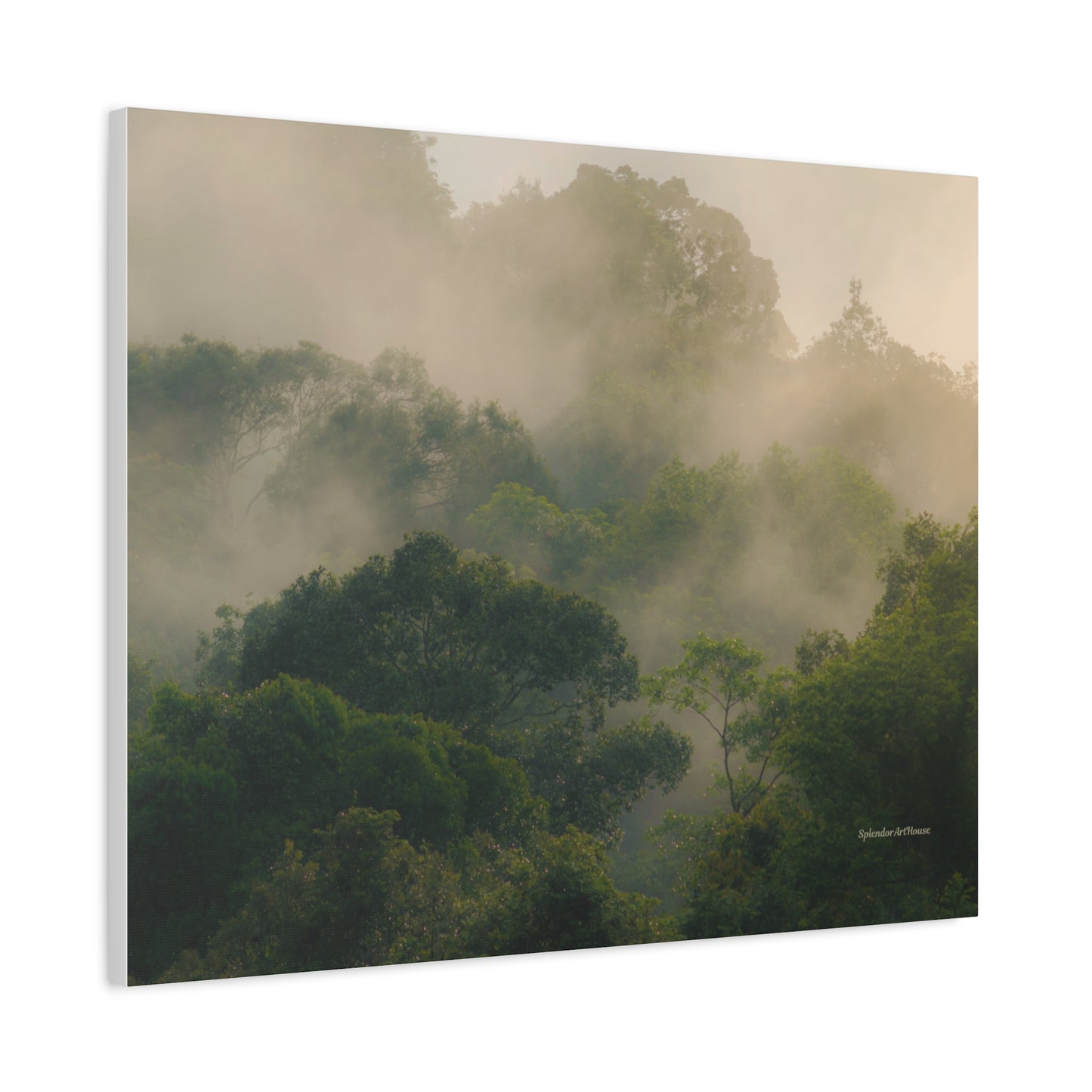 Forest, Matte Canvas, Stretched, 1.25"